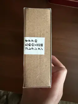 Pokai Gaku Booster Box 2026 Art Yeuh Pokemon TCG Fan Art Cards Sealed IN HAND - Image 5