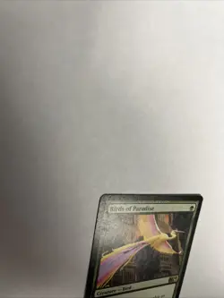 Birds Of Paradise M12 Nonfoil Card #165 MTG HP - Image 4