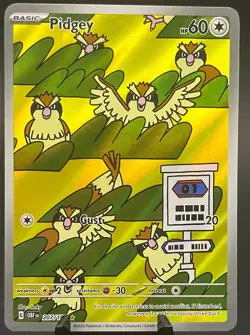 Pokemon TCG Pidgey 207/197 Obsidian Flames Illustration Rare IR Holo Full Art NM - Image 1