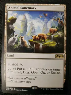 MTG *Animal Sanctuary X1* (LP) Core 2021 Magic the Gathering - Image 1