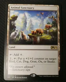 MTG *Animal Sanctuary X1* (NM) Core 2021 Magic the Gathering - Image 1