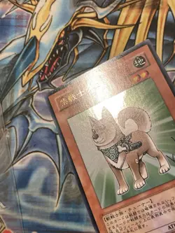 Yu-Gi-Oh! Shiba Warrior Taro YAP1-JP009 Ultra Rare Holo Japanese Card – NM - Image 3