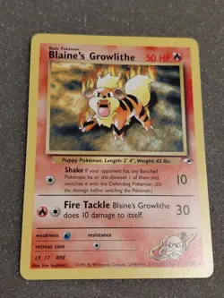 Pokemon Blaine's Growlithe - 3 Card Lot - Gym Challenge, Gym Heroes - LP - Image 4