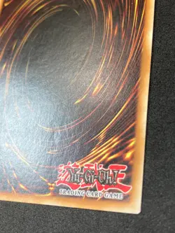 Yugioh Emissary of the Afterlife - Common - 1st Edition - LCYW-EN255 - MP - Image 3