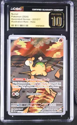 Pokemon Numel 223/217 Illustration Rare Ascended Heroes - CGC 10 PRISTINE - Image 1
