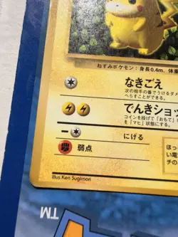 Pokemon Card Ivy Pikachu Glossy CoroCoro Promo No 025 Ken Sugimori Played Jap - Image 4