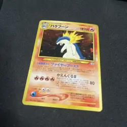 B6 Typhlosion NO. 157 Holo Promo Neo Premium File 1 Pokemon Japanese NM - Image 3