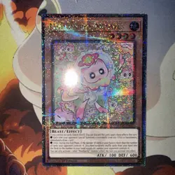 Yu-Gi-Oh Mulcharmy Meowls Quarter Century Rare SUDA-EN025 - Image 3