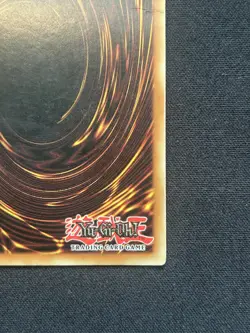 Yugioh TCG: Vintage Blue-Eyes White Dragon SDK-001 **LP** - Image 10