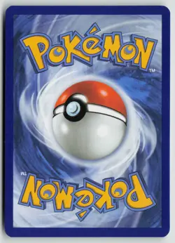 Riolu 010 Holo Promo ME: Mega Evolution Promo Pokemon NM - Image 2