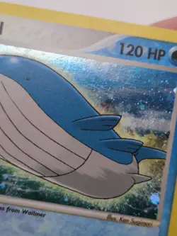 Wailord Holo Rare 14/109 Ruby and Sapphire 2003 Holo Pokemon English - Image 4