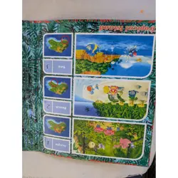 2001 Pokemon Southern Islands Collection TCG 3-Ring Binder Empty Tropical - Image 3