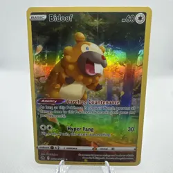 Bidoof GG29/GG70 Crown Zenith Galarian Gallery Ultra Rare Full Art Pokemon - Image 1