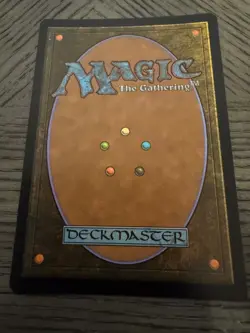 Polluted Delta #224 (Foil) (NM) Modern Horizons 3 Magic MTG - Image 3