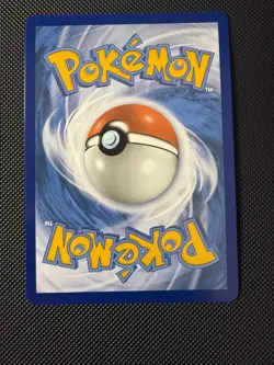 Pokemon TCG Squawkabilly ex 264/193 Paldea Evolved SIR -NM - Image 2