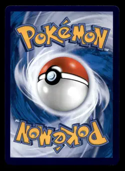 Rockruff 002/004 Champion Festival Celebration Foil Chinese Pokemon NM - Image 2