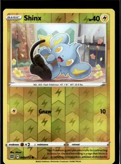 Pokemon Shinx 049/172 Brilliant Stars Reverse Holo Common 2 Card Lot - Image 1