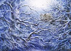 Snow-Covered Forest - Kaldheim | MTG Card - Image 2