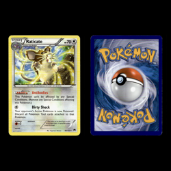 Rattata Raticate Alolan Raticate Alolan Rattata 64.0 Pokemon Cards Set - Image 5