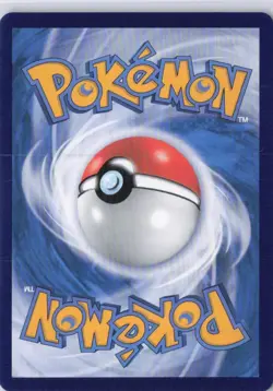 Pokemon TCG Exclusive Chinese Horizon Roy & Fuecoco CBB1C 03/09 Holo Card - Image 2
