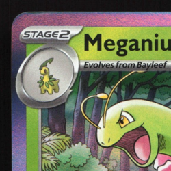 Meganium - MEP 001 - Mega Evolution Stamped Black Star Promo - Pokemon Card LP1 - Image 3