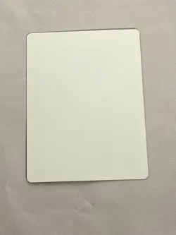 MTG Skullscorch Artist Proof and Signature Signed Williams - Image 2