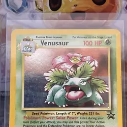 2000 Pokemon VENUSAUR Holo BLACK STAR PROMO Set Card #13 RARE Nintendo WOTC NM - Image 4