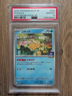 Pokemon Psyduck SV-P #262 Gym Promo PSA 10 - Image 1