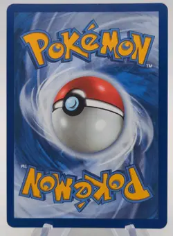 Pokemon TCG Squirtle First Partner Illustration Promo. NM!!! - Image 2