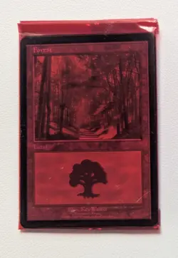 Magic the Gathering Euro Land FULL SET Red, Blue, Purple Pack Factory Sealed MTG - Image 3