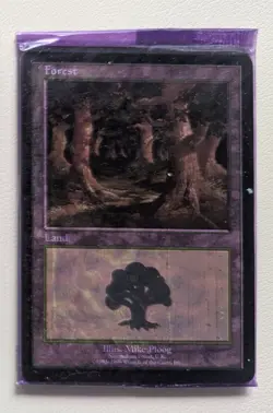 Magic the Gathering Euro Land FULL SET Red, Blue, Purple Pack Factory Sealed MTG - Image 5