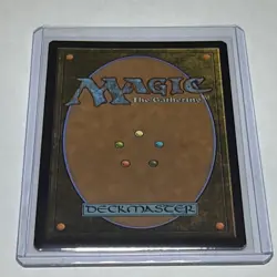 Wizards of the Coast MTG Turtle-Duck Foil Creature TLA Green Common C0200 EN - Image 2