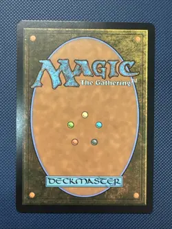MTG Hallowed Fountain (Borderless) - Unfinity (UNF) NM - Image 2