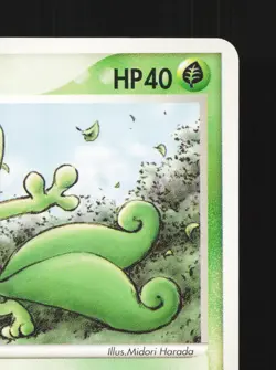 Treecko 002/019 Treecko Deck LP Unlimited Japanese Pokemon Card TCG - Image 3