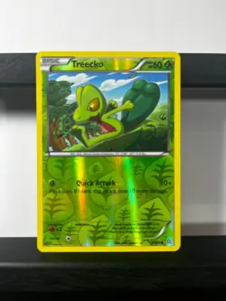 Treecko 6/160 Reverse Holo XY - Primal Clash NM Pokemon TCG - Image 1
