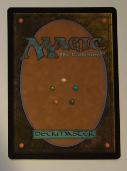 Wanderwine Prophets NM Lorwyn Eclipsed Special Guest MTG Magic the Gathering - Image 2