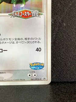 Rayquaza Poke Park Promo 041/PCG-P Pokemon Card Japanese Rare Nintendo Japan F/S - Image 5