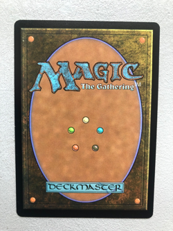 Mtg Carte Magic Secret Lair Sonic the Hedgehog FOIL English NM - Image 2
