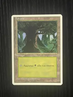Magic MTG Italian Revised Forest Artist Proof Near Mint - Image 1