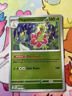 Meganium 010/132 Reverse Holo Rare - Pokemon TCG Mega Evolution - NM - Image 1