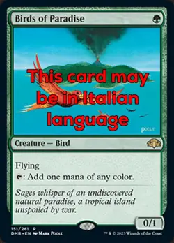 MTG BIRDS OF PARADISE EXC - UCCELLI DEL PARADISO 151 - DMR - MAGIC - Image 1