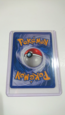 Raikou HGSS19 Holo Black Star Promo Pokemon Card - Image 2