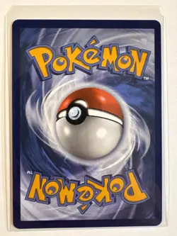 Terrakion (Master Ball Pattern) 051/086 Holo Pokemon White Flare SV11W NM - Image 3