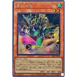 Yugioh Card - Green Ninja - Secret Rare 24PP-JP024 Premium Pack 2024 Japanese - Image 1