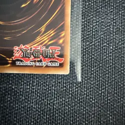 Monster Reborn SDK-036 Unlimited LP Yu-Gi-Oh Spell Card Kaiba - Image 4