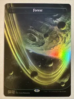 MTG / Forest / UNF / #244 / FOIL (Borderless) / Basic Land / NM - Image 1