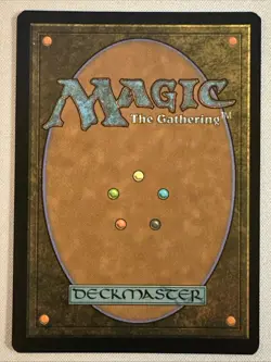 MTG / Forest / UNF / #244 / FOIL (Borderless) / Basic Land / NM - Image 2