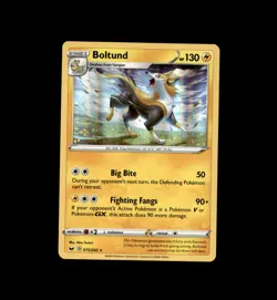 Boltund 075/202 Holo Rare Sword & Shield Pokemon Holo Near Mint - Image 1