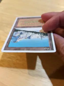 MTG Magic the Gathering Taiga Revised Edition Dual Land - Image 3