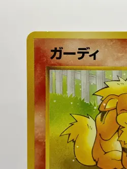 1999 Pokemon Growlithe No. 058 Japanese Intro Pack Squirtle Deck #26 EX+! - Image 4
